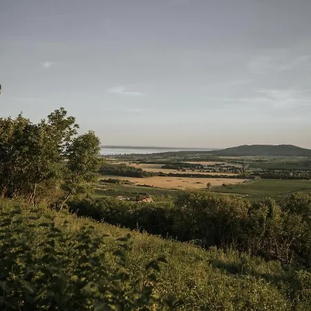 Pince A Hegyen * Szentantalfa