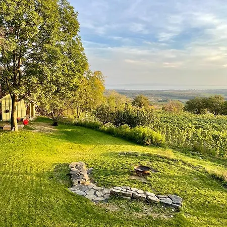 Pince A Hegyen * Szentantalfa